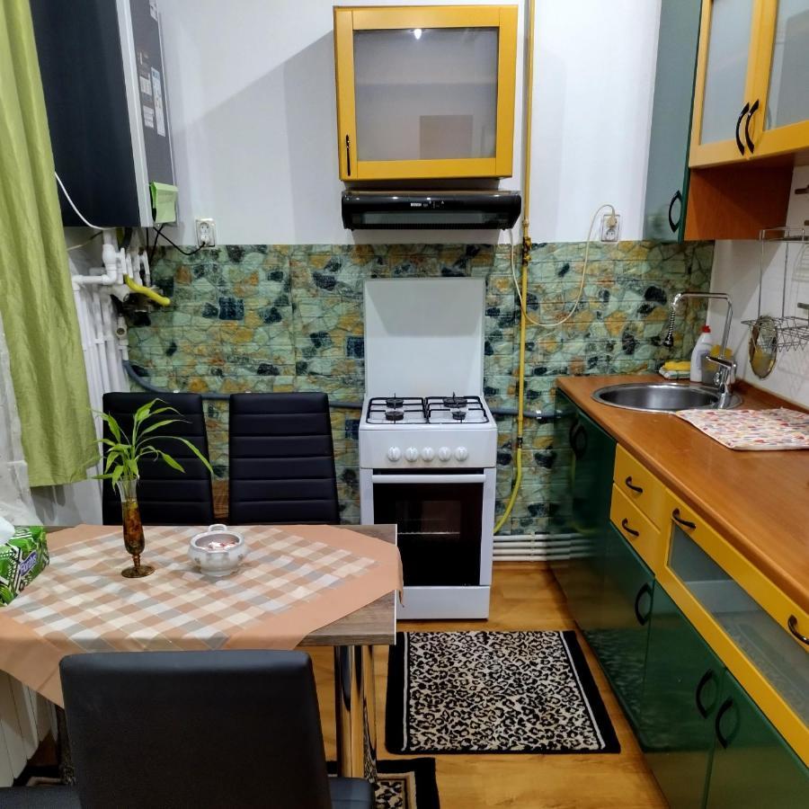 Apartament Camelia Petroşani Dış mekan fotoğraf
