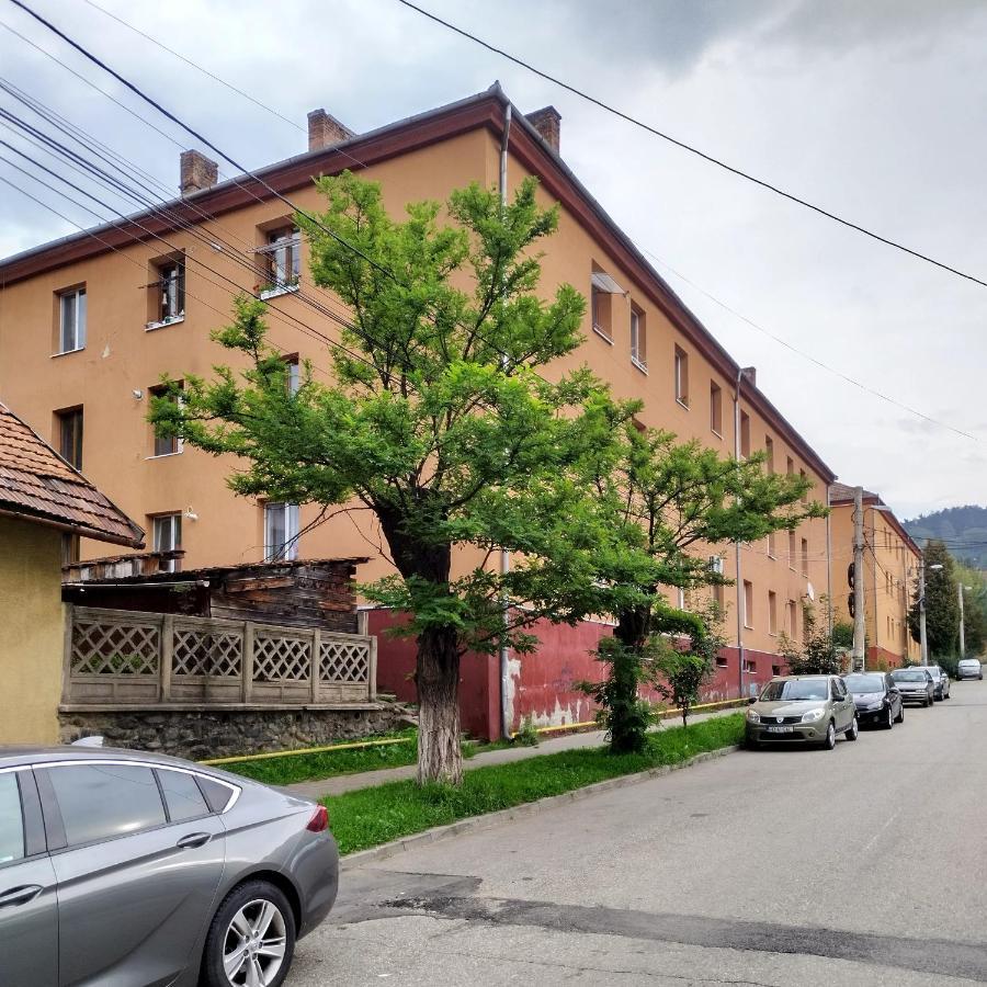 Apartament Camelia Petroşani Dış mekan fotoğraf