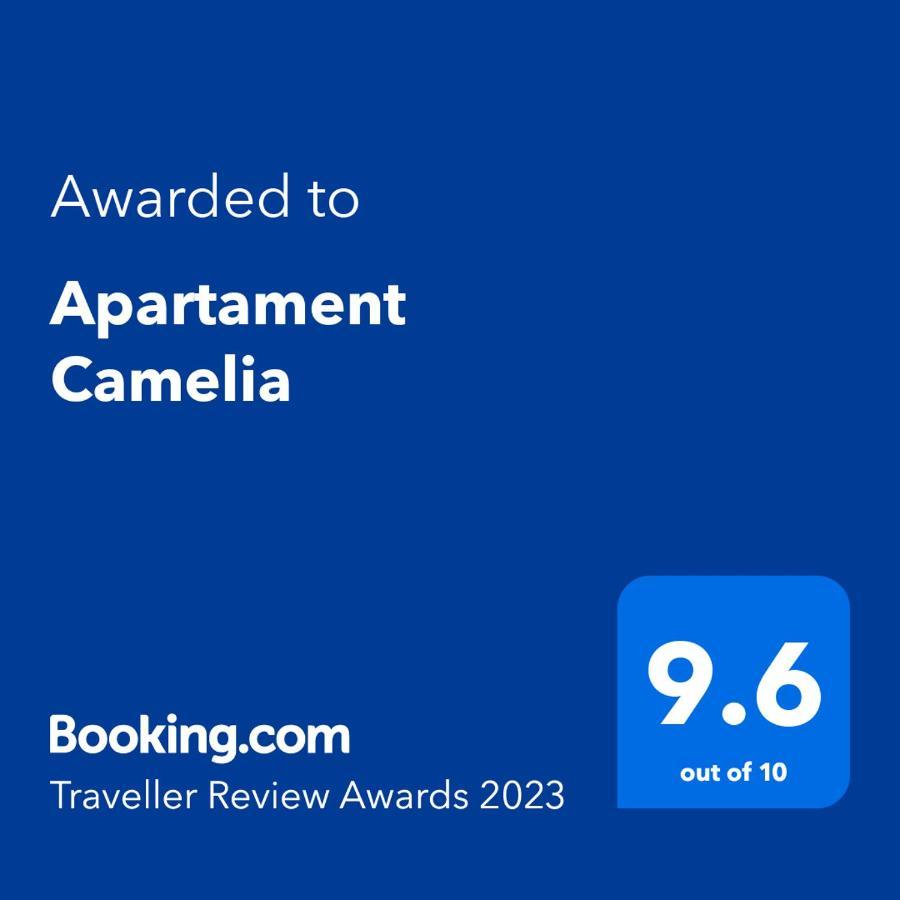 Apartament Camelia Petroşani Dış mekan fotoğraf
